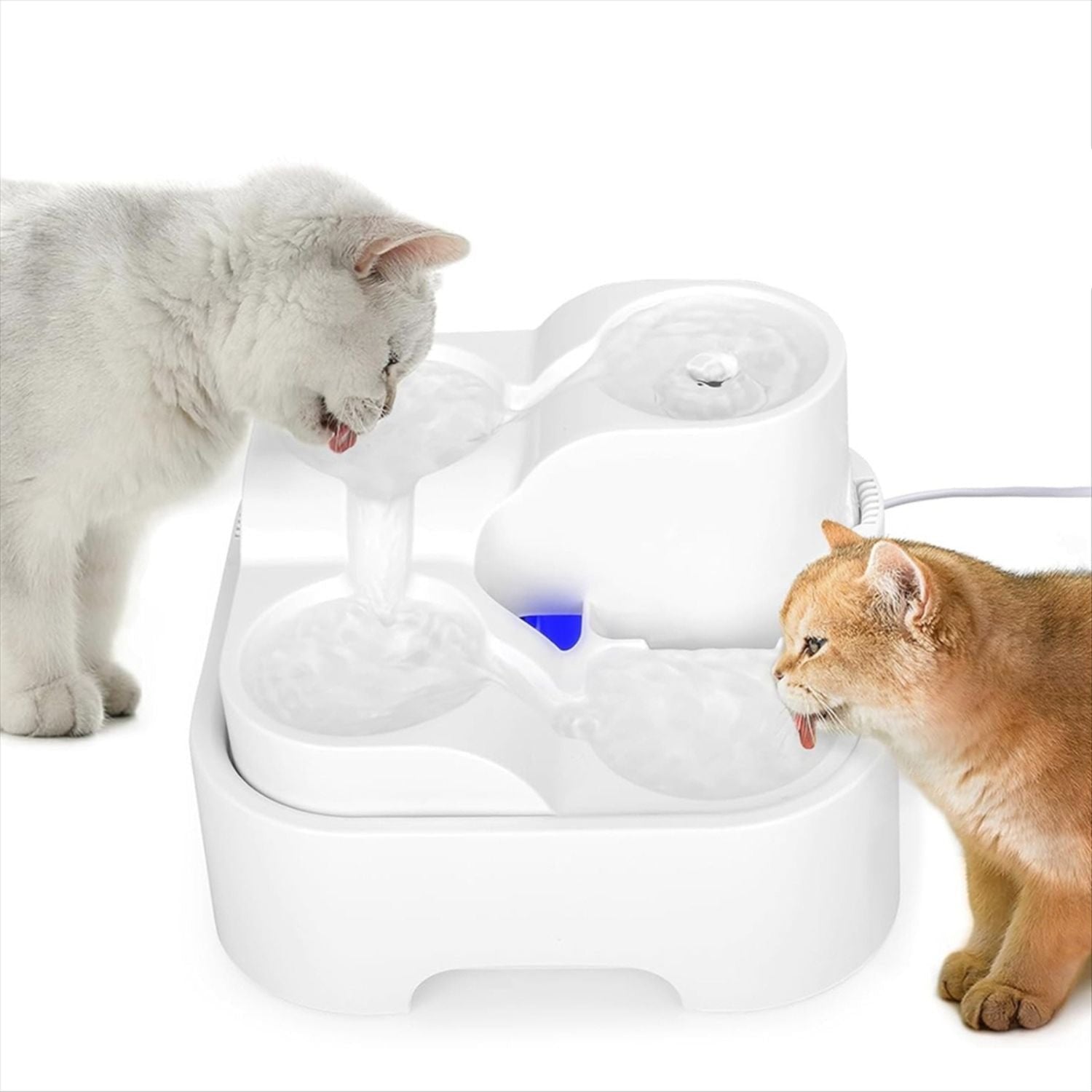 katten gefilterde waterbron huisdierenhydratatie